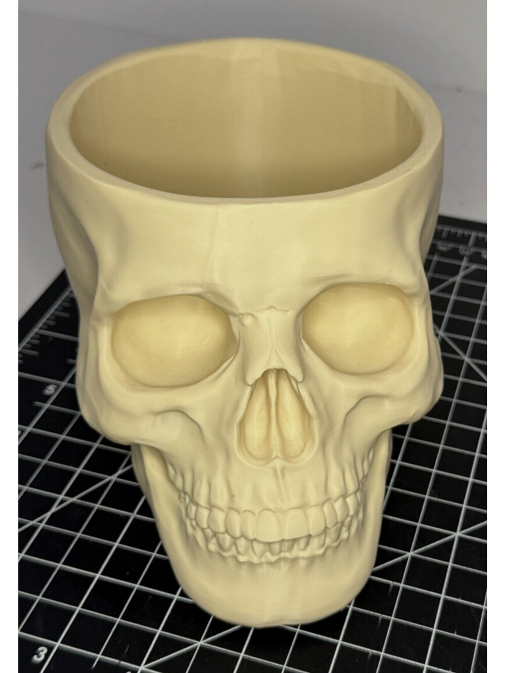 3D Printed Skull-Shaped Bowl - PLA - Bone Color